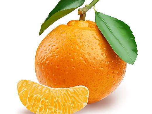 水果臨摹教程（個人主頁-ZMzA3MTA4MjA=） - 創(chuàng)作習(xí)作 - 站酷設(shè)計師清水長流原創(chuàng)素材 - 站酷ZCOOL