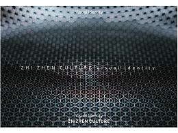 VI | 至臻文化品牌VI