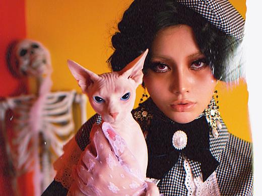 瑪卡布萊特夫人