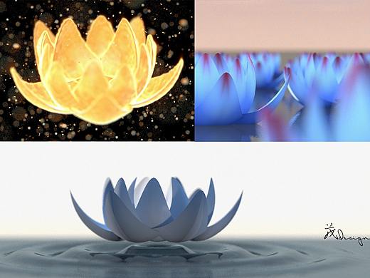 净世白莲，佛怒火莲，妖艳红莲