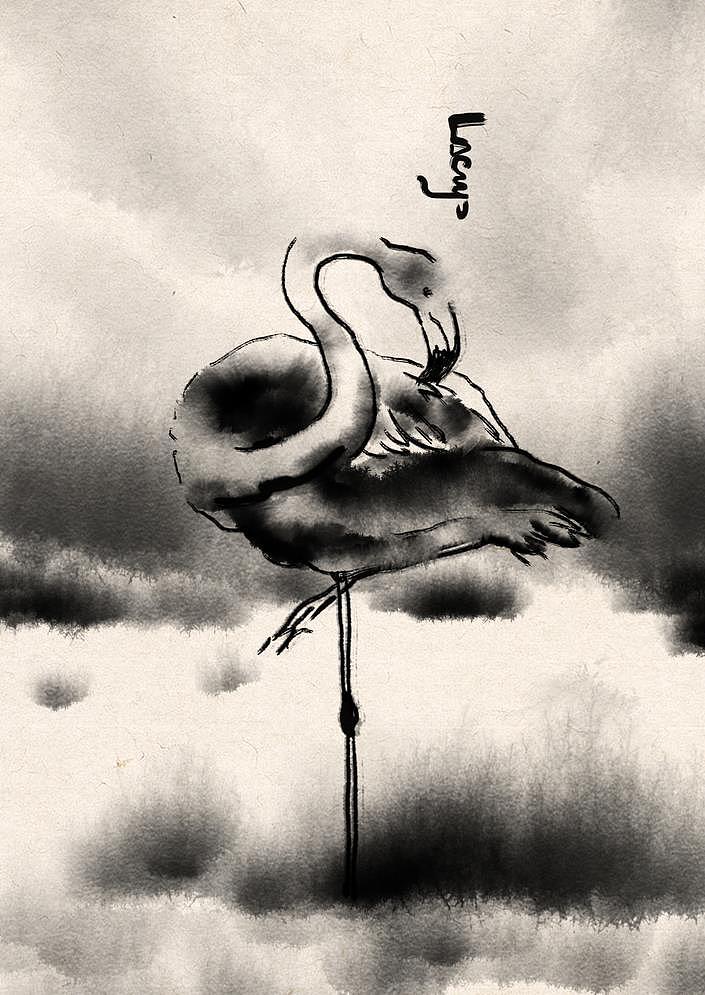 同一个世界同一款火烈鸟