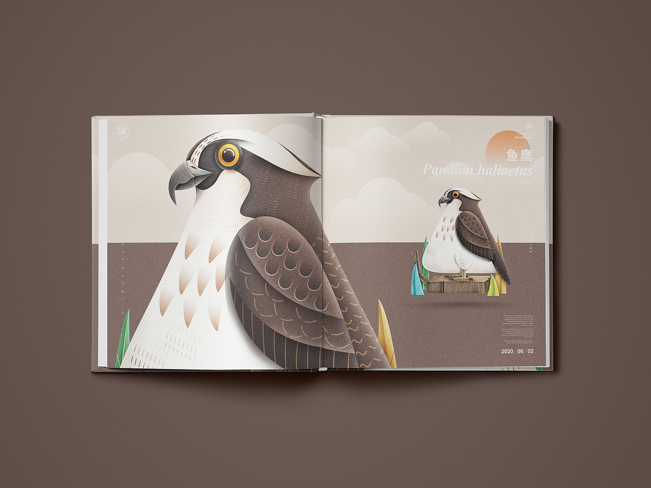 鸟儿（图ZMjEwNTYzNDgw） - 绘本 - 站酷设计师言身寸言身寸原创素材 - 站酷ZCOOL