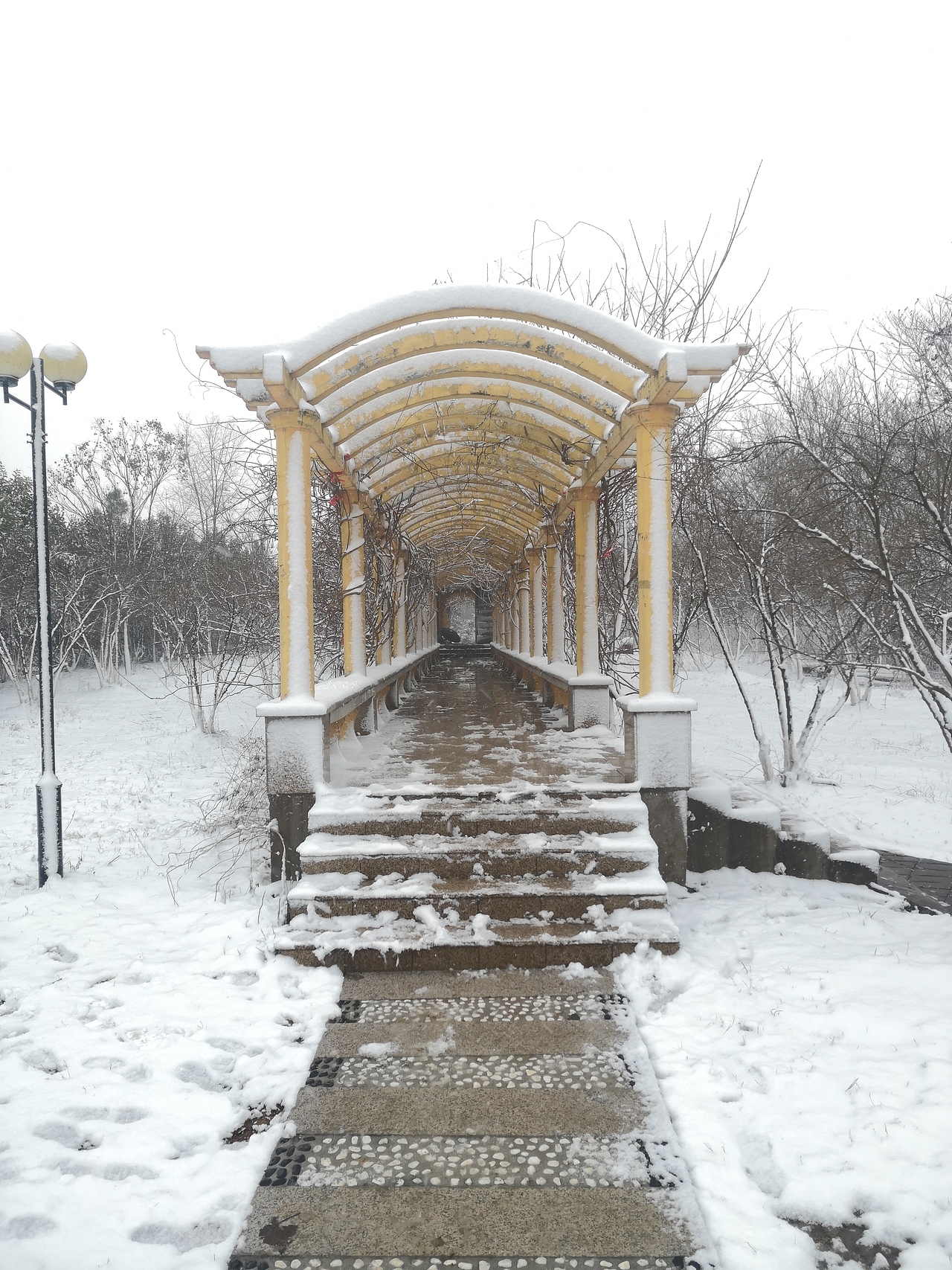 《冬》（图ZMjQxMTI4NDc2） - 风光摄影 - 站酷设计师Noahguo原创素材 - 站酷ZCOOL