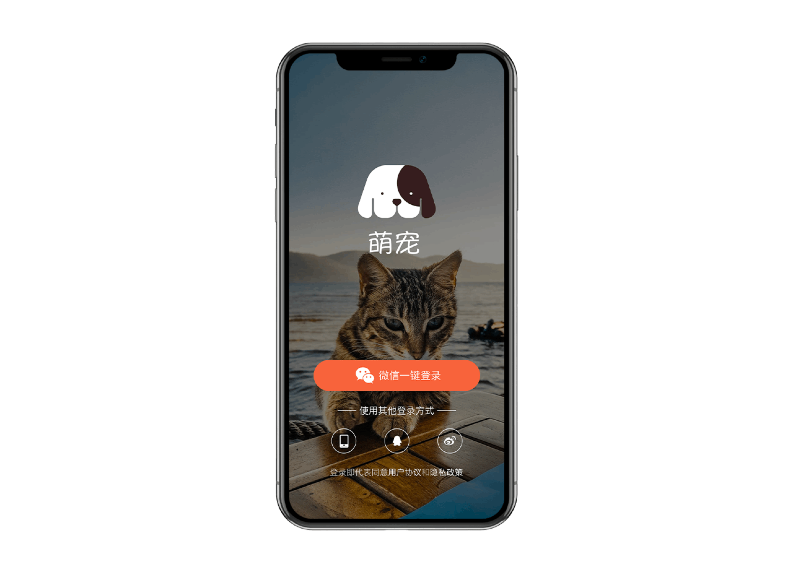 萌宠APP界面设计