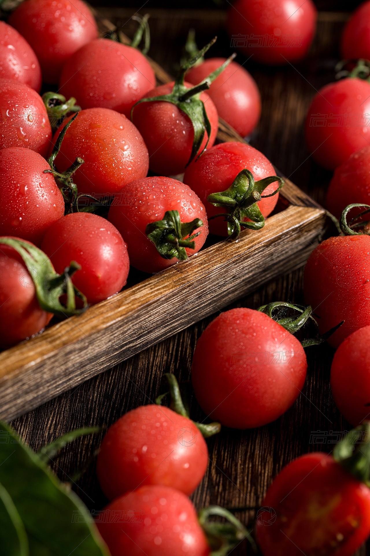 圣女果美食摄影