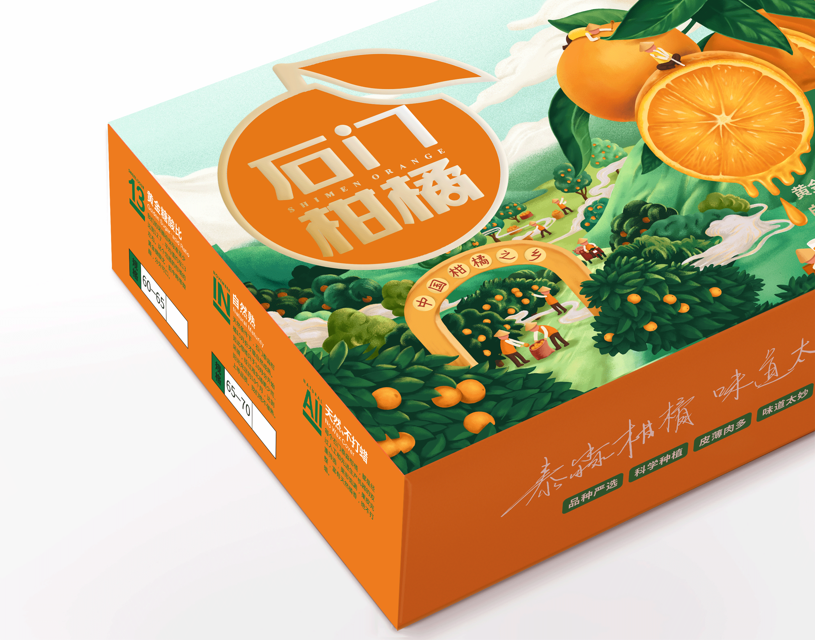 此山设计石门柑橘包装设计