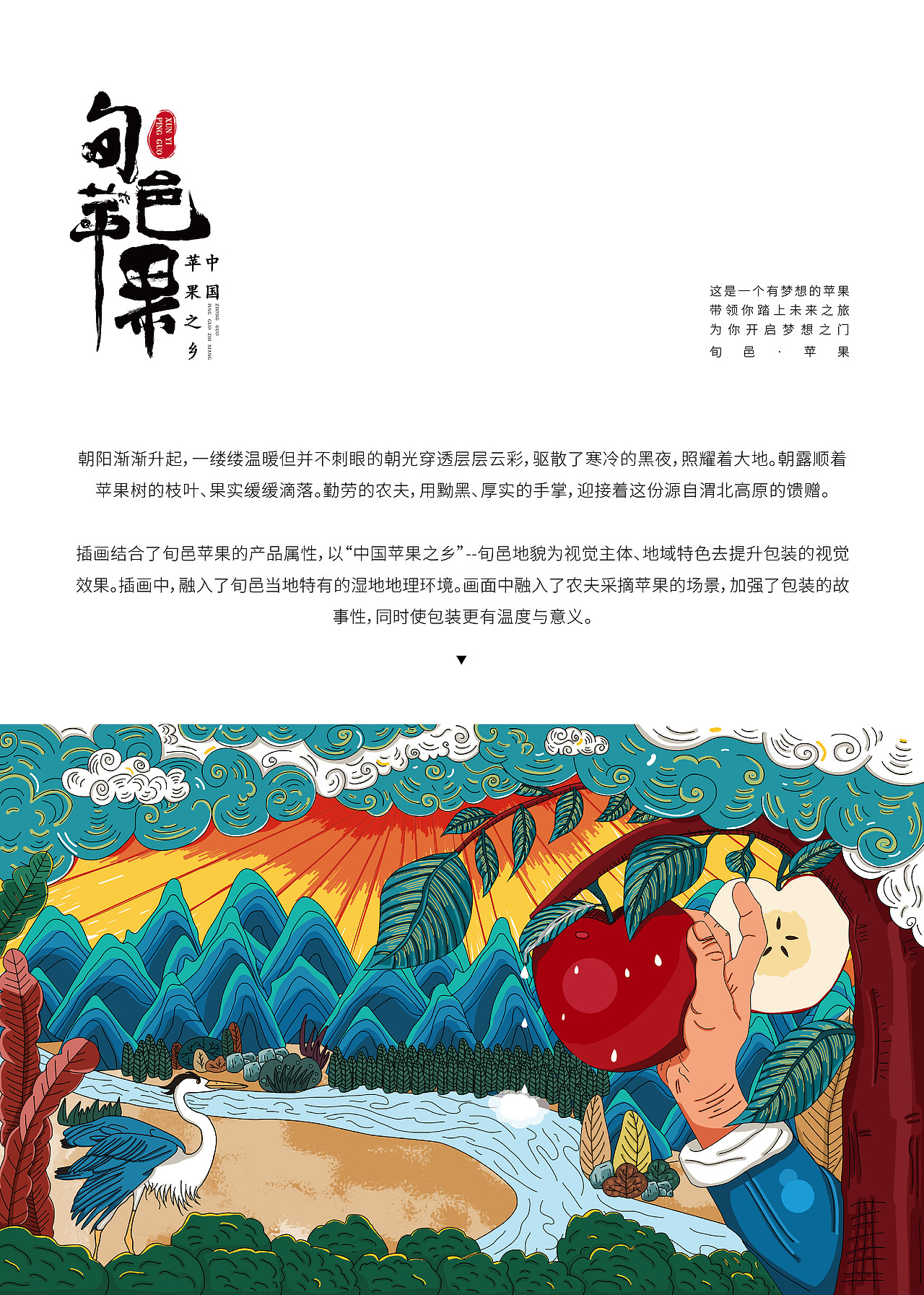 水果包装 - 苹果 - 包装设计