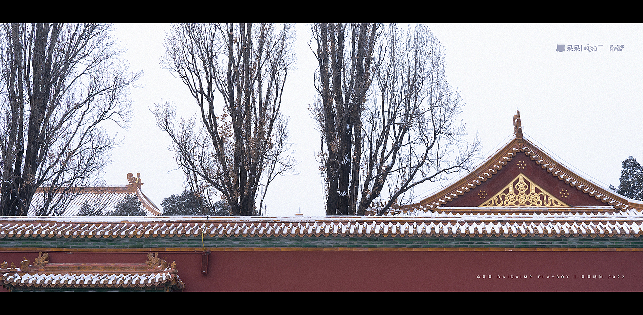 呆呆瞎拍 | 生活就像电影，要有仪式感（图ZMjg3NTYyNDE2） - 人文/纪实摄影 - 站酷设计师呆小东原创素材 - 站酷ZCOOL