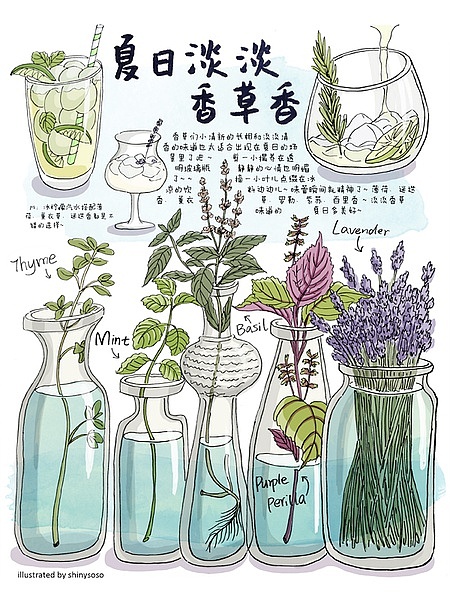 2014soso的无料森活日记（下）（图ZMjM0ODM3ODQ=） - 艺术插画 - 站酷设计师shinysoso原创素材 - 站酷ZCOOL