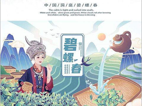 茶叶包装设计/洞庭碧螺春