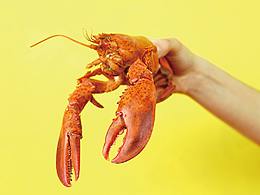 虾盗海奇LOGO设计