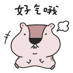 表情包《土拨猪睡不醒》