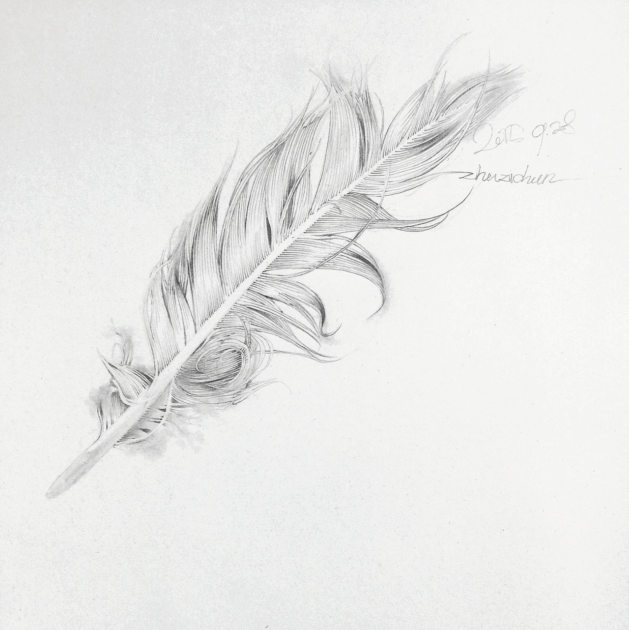 随心画（图ZMzg2NjQ5NDQ=） - 绘画 - 站酷设计师seasonjune原创素材 - 站酷ZCOOL