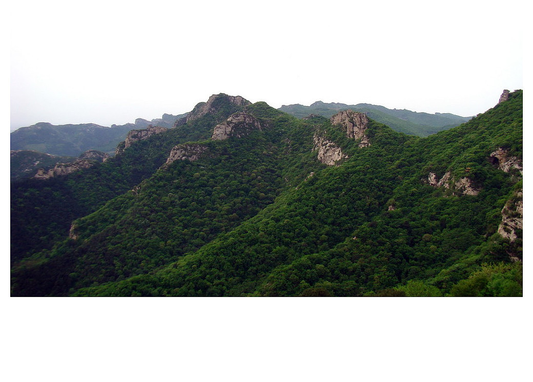 歪脖老母-青岩寺（图ZNzg4NTYyMA==） - 风光摄影 - 站酷设计师housenbao原创素材 - 站酷ZCOOL