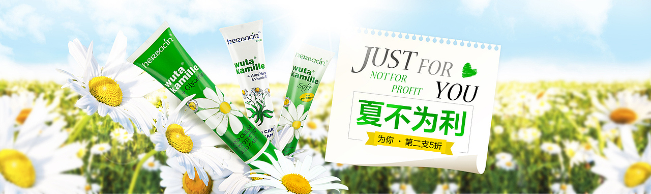 小甘菊海报（图ZNTcyOTg0OTI=） - 海报 - 站酷设计师lihaisi原创素材 - 站酷ZCOOL