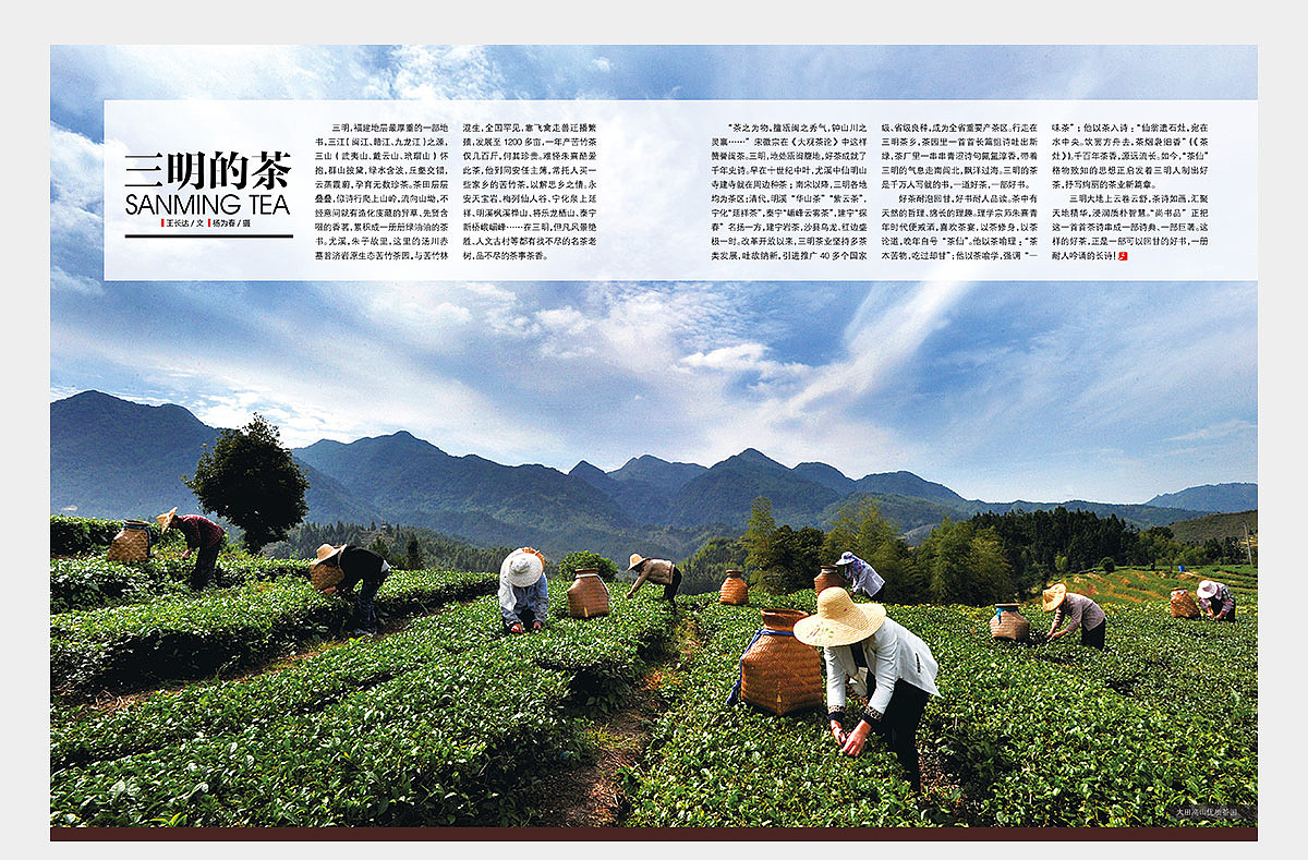 《时代三明》杂志2013年第11期三明的茶（图ZNzU5MzU1MzI=） - 书籍/画册 - 站酷设计师郑源华原创素材 - 站酷ZCOOL