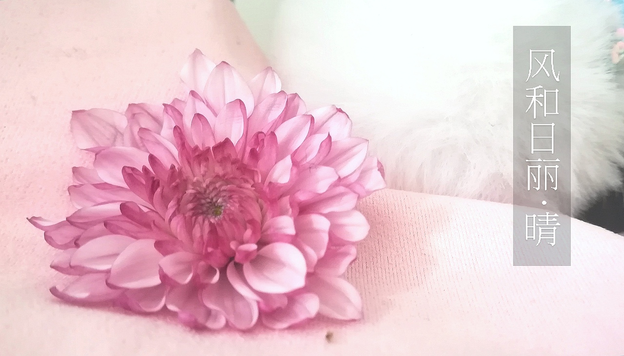 春（图ZMTUzMDk3MjIw） - 产品摄影 - 站酷设计师Liyanne原创素材 - 站酷ZCOOL