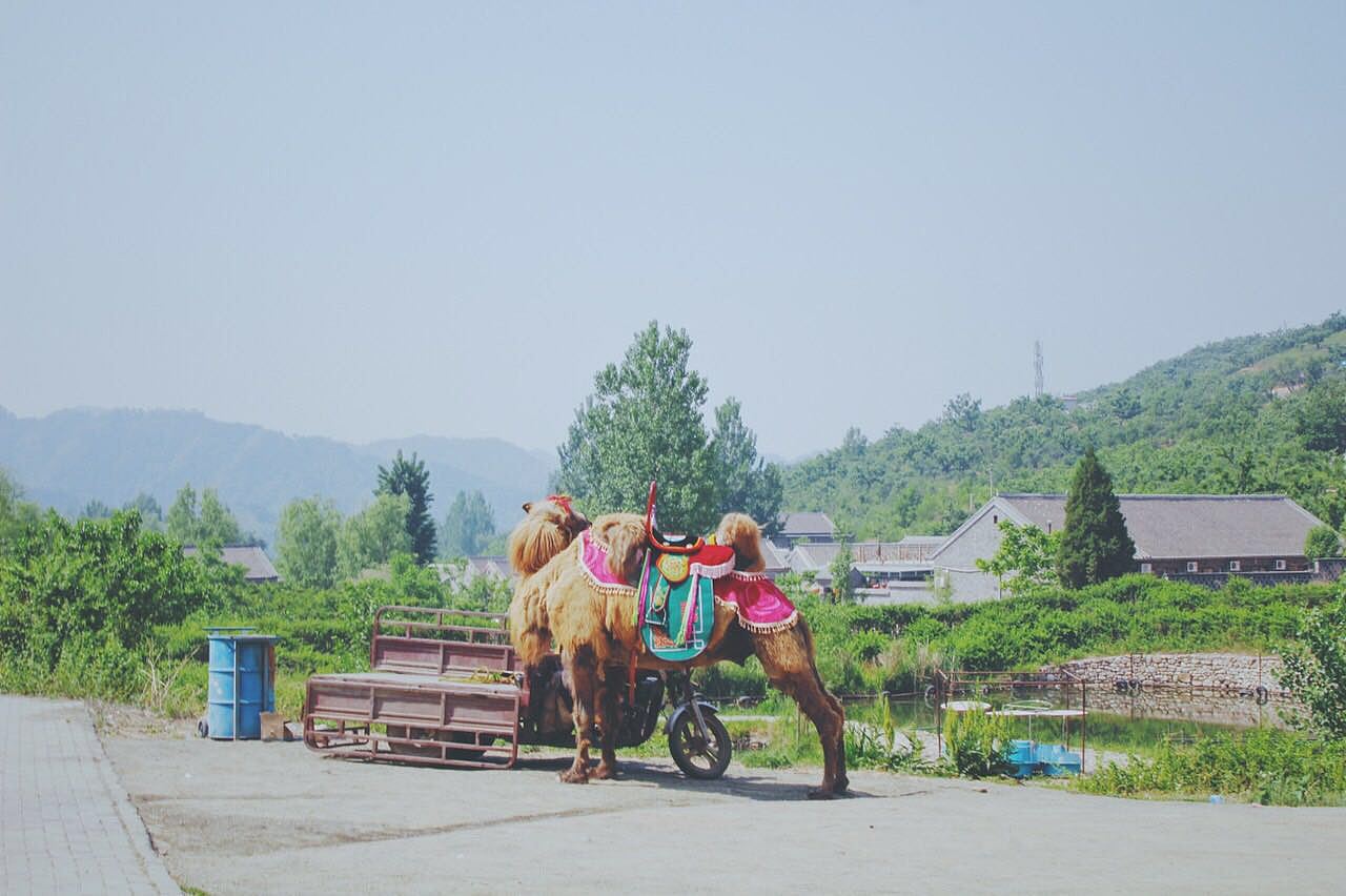 随拍（图ZODkzNDExODg=） - 产品摄影 - 站酷设计师乌拉雷原创素材 - 站酷ZCOOL