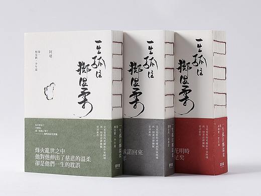 一生孤注掷温柔 / Book Decoration