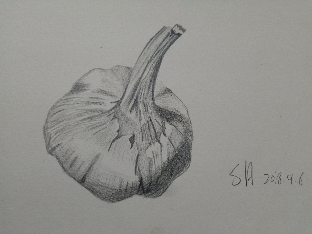 每天一画（图ZMTI3ODIwMjc2） - 创作习作 - 站酷设计师SH华少原创素材 - 站酷ZCOOL