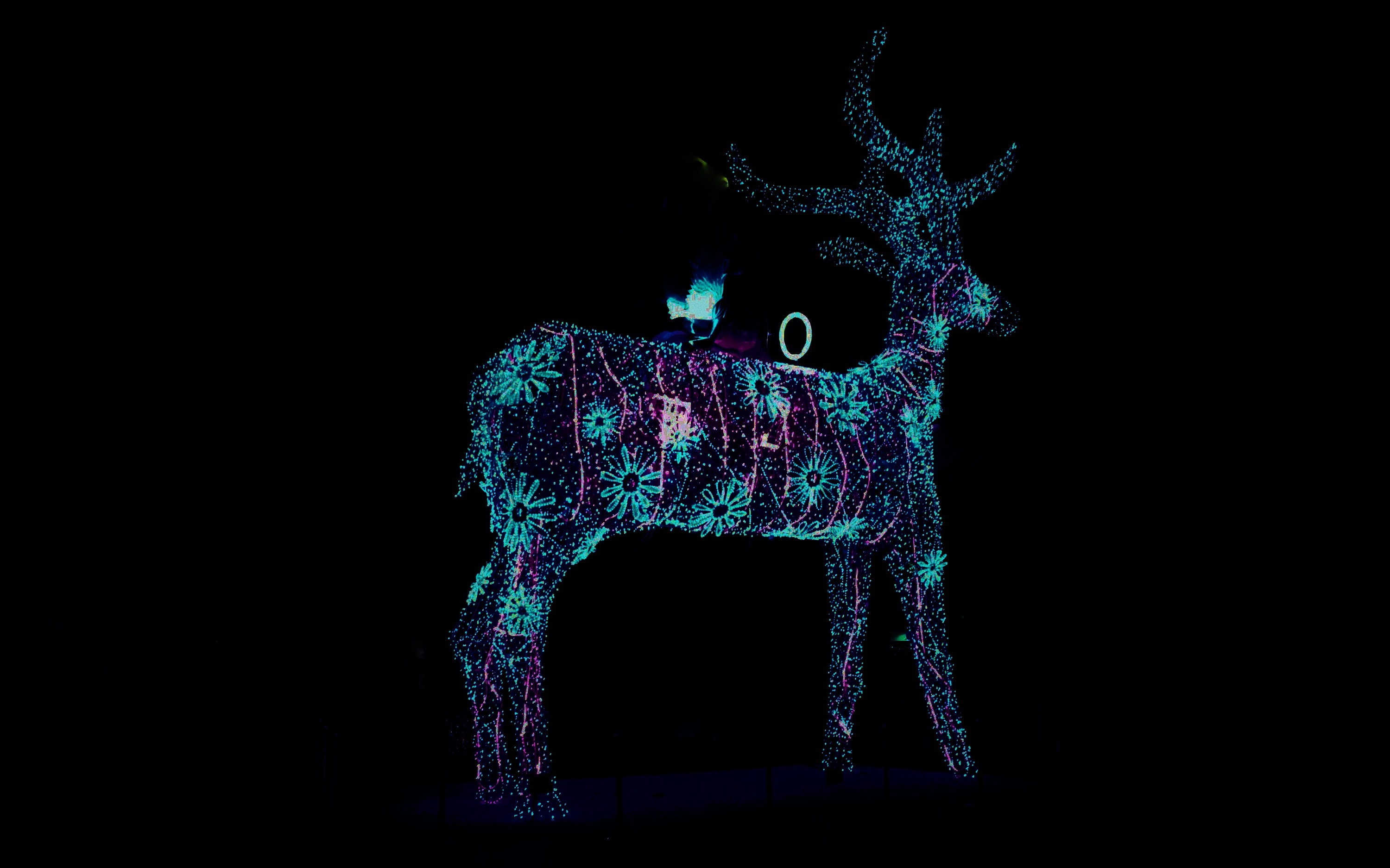圣诞节麋鹿装饰素材免费下载 - 觅知网