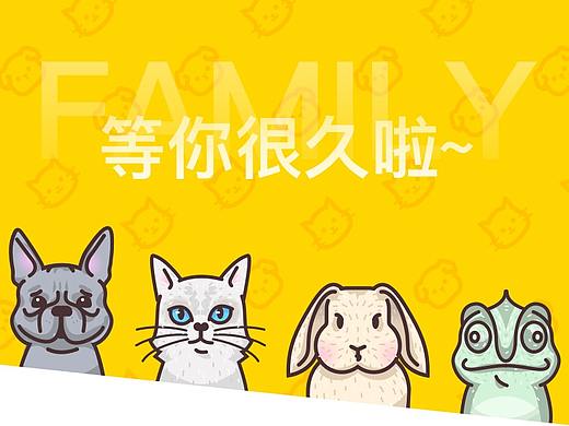 【UI/UX】花火圆桌-宠物领养项目活动(第6组参赛)