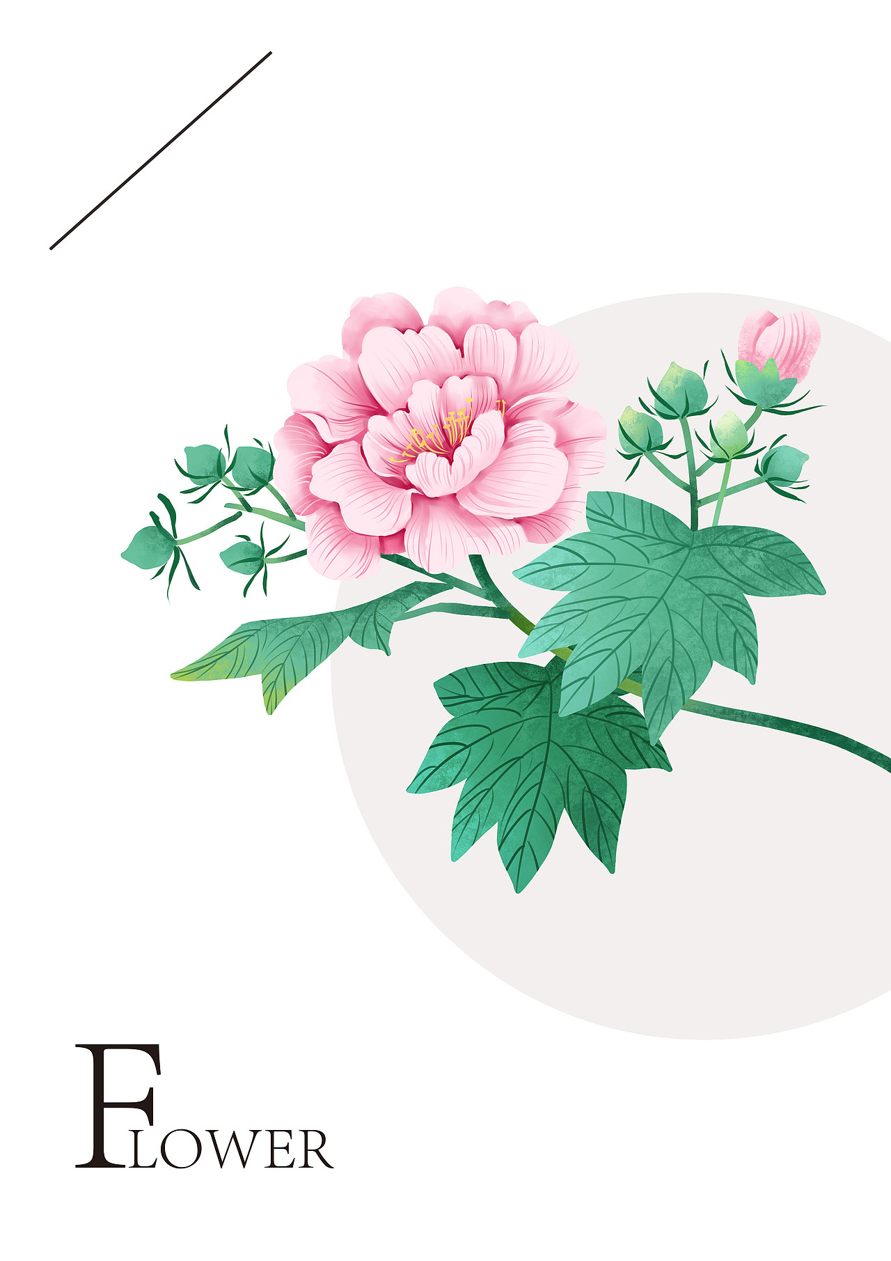 【芙蓉】 木末芙蓉花,山中发红萼 br>涧户寂无人,纷纷开且落