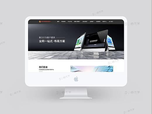 网页设计 WEB网页设计 网页首页设计