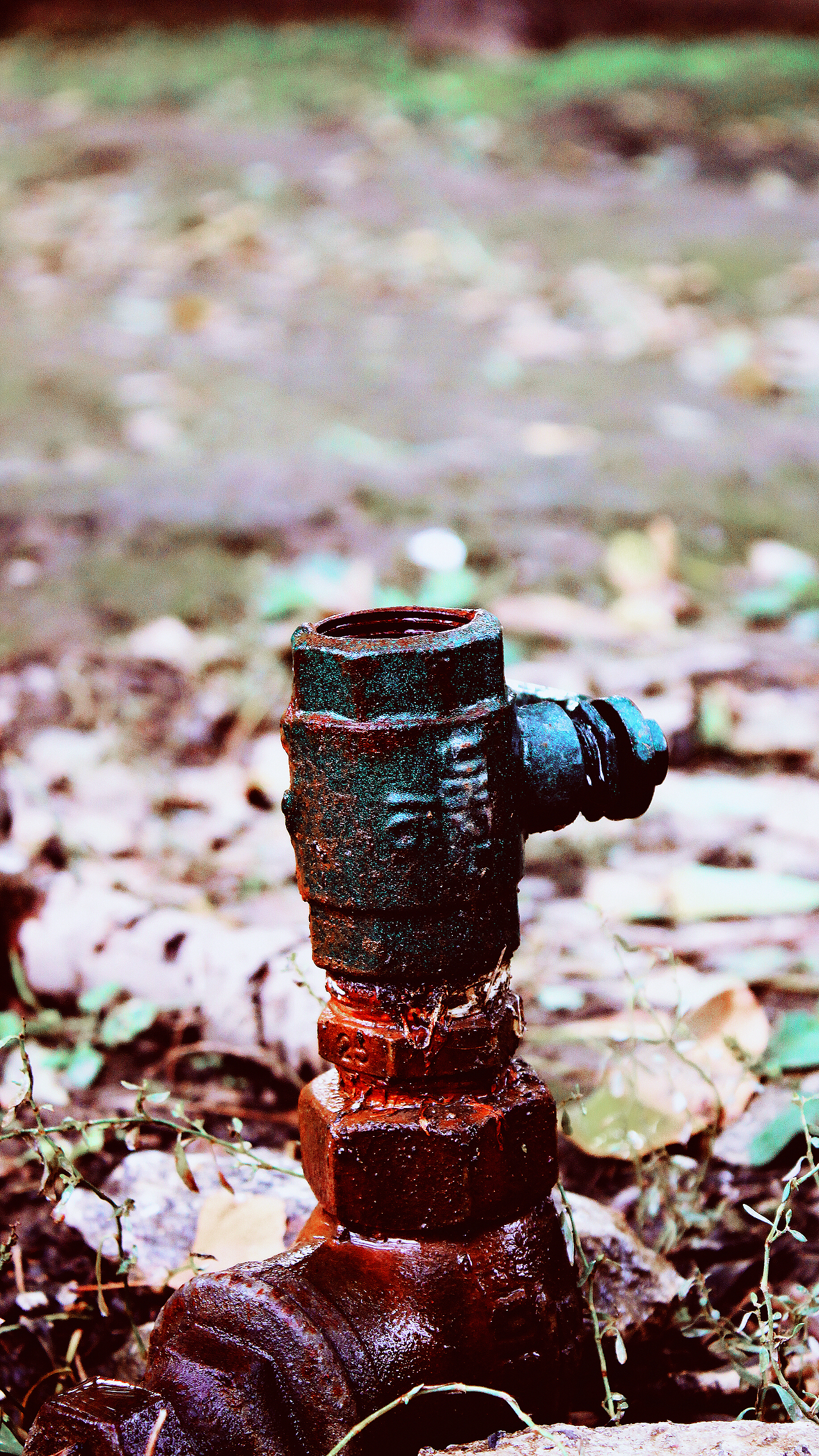 银杏大道 锁 清 秋（图ZNjE3NTI1NDg=） - 风光摄影 - 站酷设计师Jauver原创素材 - 站酷ZCOOL