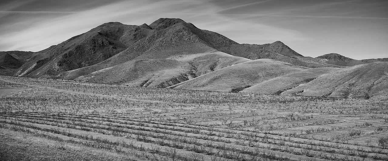 风光摄影 ▏冷山