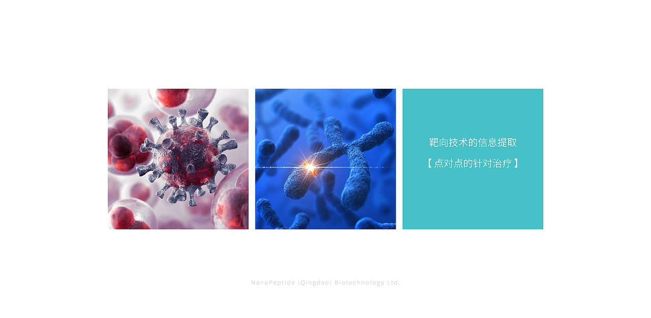 纳肽得生物医药有限公司视觉（图ZMTA4NTU2Njg0） - 品牌 - 站酷设计师尼克不是尼克原创素材 - 站酷ZCOOL