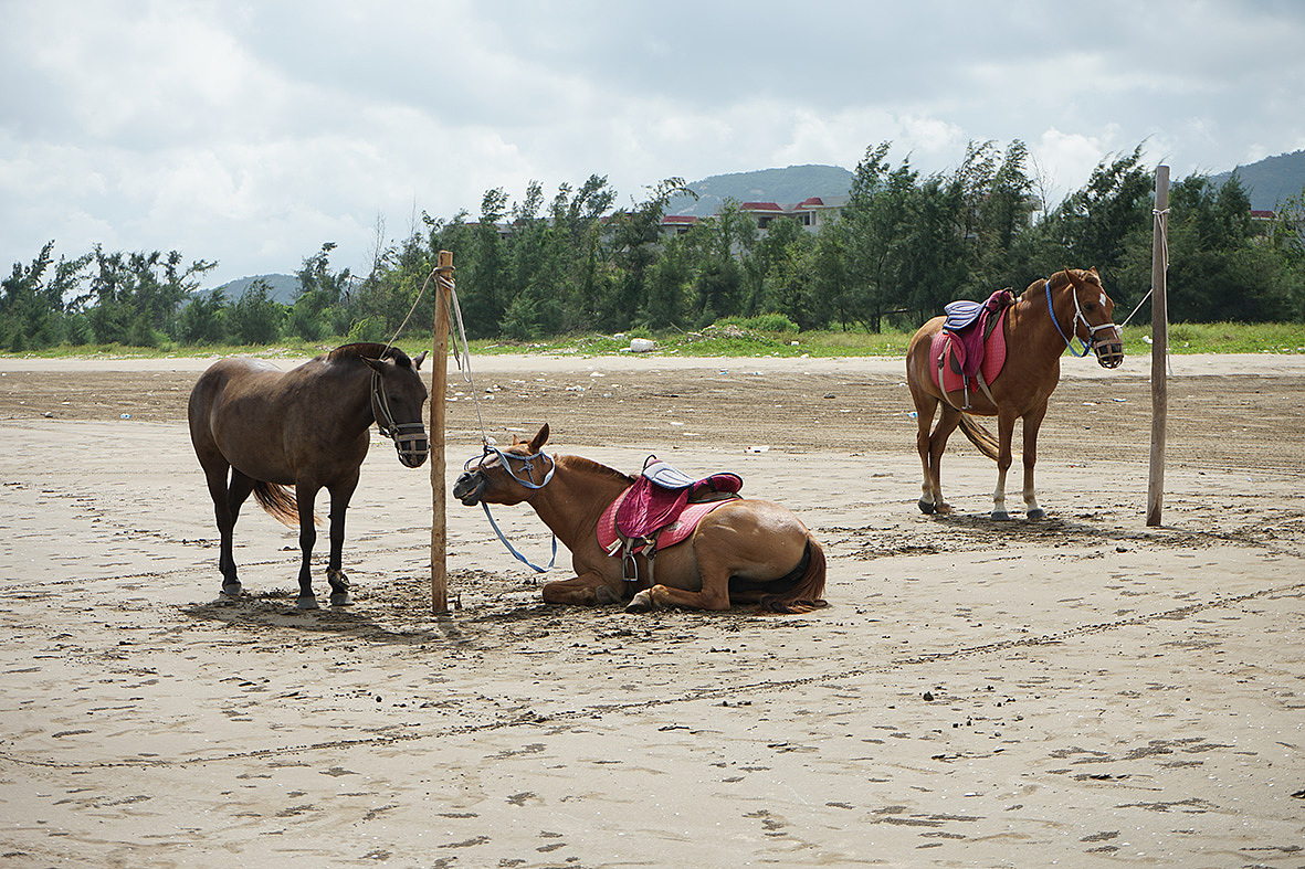 大海的模样【微单摄影】（图ZMTQ5NjQwMDU2） - 风光摄影 - 站酷设计师花之恋臭豆腐原创素材 - 站酷ZCOOL
