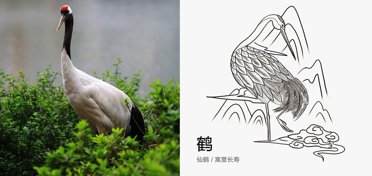 优甄生鲜鸡蛋包装研发设计(图ZMTI0MDA1NzM2) - 包装 - 站酷设计师無出其右品牌設計原创素材 - 站酷ZCOOL