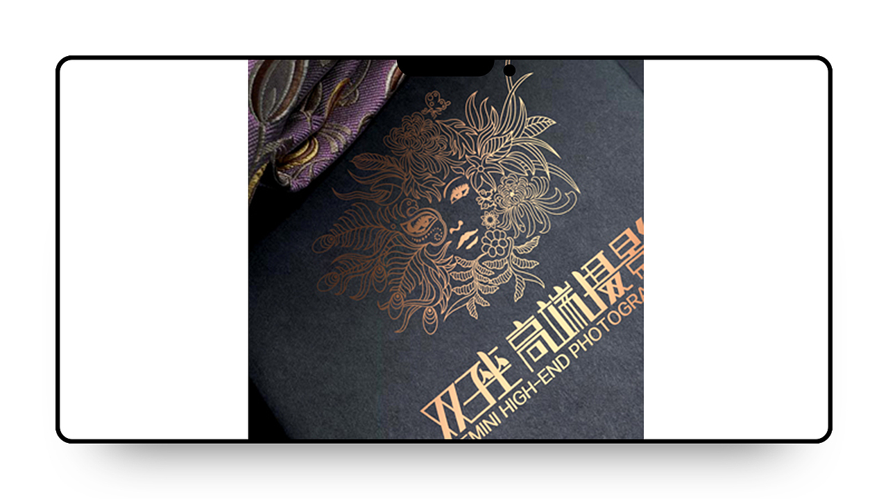 祥迪设计 | 双子座（图ZMTQ0MjY1NDE2） - 品牌 - 站酷设计师祥迪设计原创素材 - 站酷ZCOOL