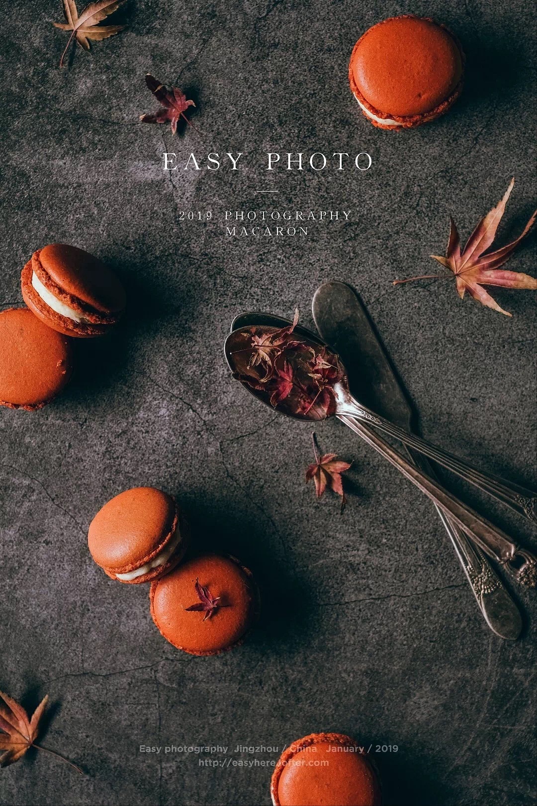 1252第五十三轮约拍#饼干#