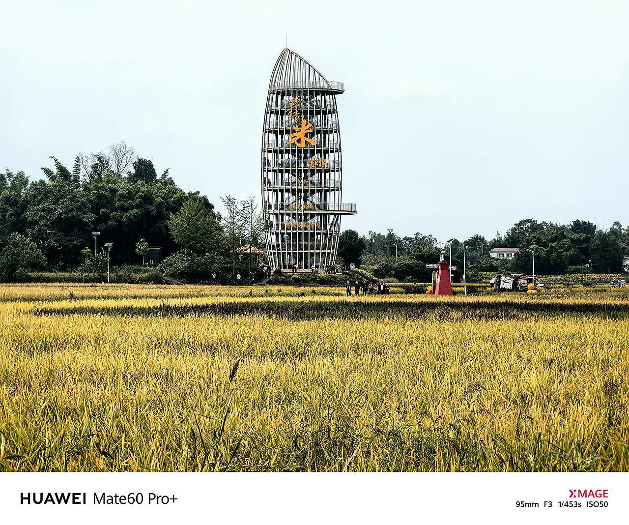 重庆首个水稻科普教育基地,袁隆平杂交水稻科普展览馆