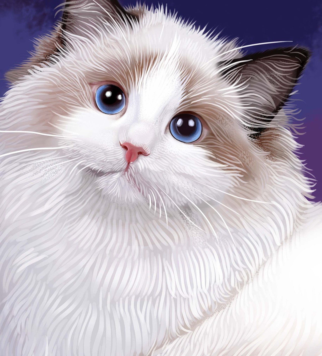 【一滴水小水手绘】水彩布偶猫|纯艺术|绘画|一滴水_小水 - 原创作品 - 站酷 (ZCOOL)