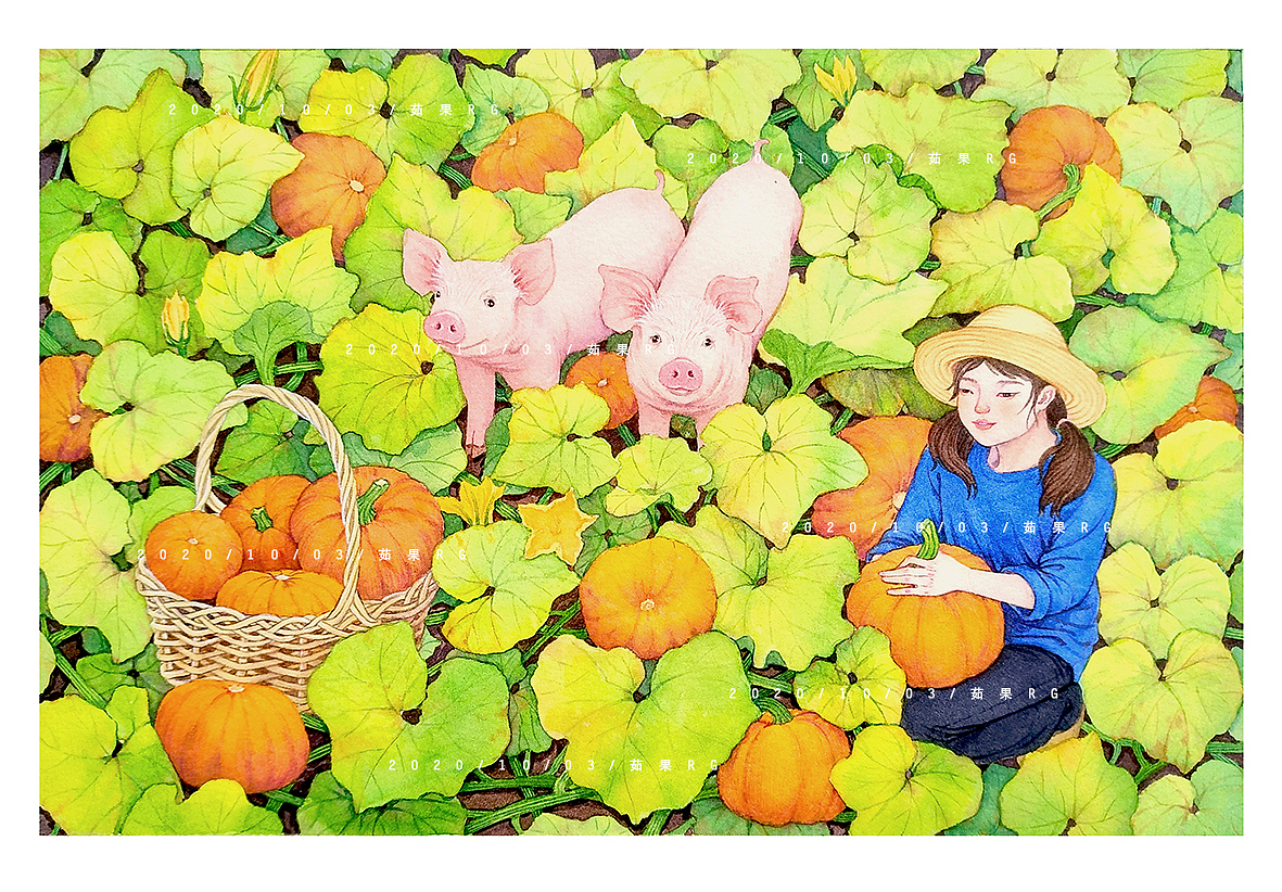 摘南瓜（图ZMjM2NzkzNDc2） - 商业插画 - 站酷设计师茹果RG原创素材 - 站酷ZCOOL