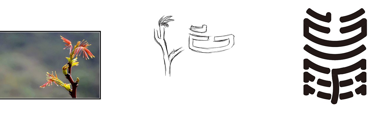 二十四节气养生食物在字体设计中的运用（图ZMTc3OTkwNjc2） - 字体/字形 - 站酷设计师Cgm96802原创素材 - 站酷ZCOOL