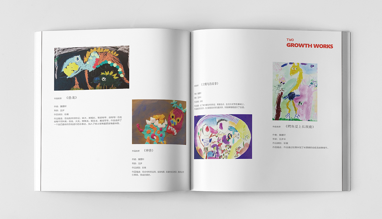 青争美术艺术画册（图ZMjY4MDMwMjUy） - 书籍/画册 - 站酷设计师色彩斑斓的长脖鹿原创素材 - 站酷ZCOOL