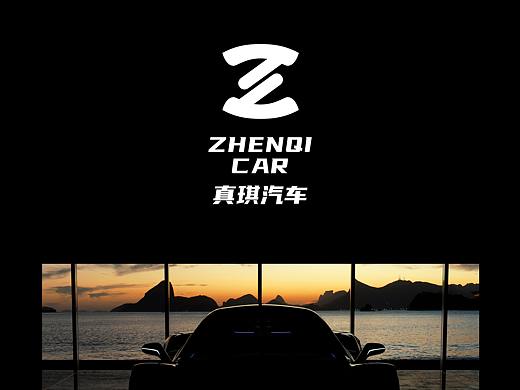 这款汽车logo偏企业，偏品牌一点