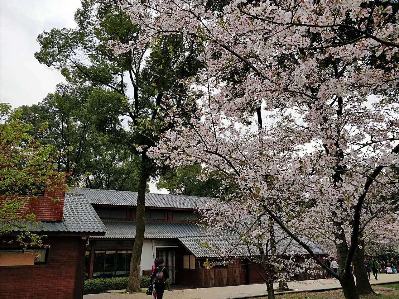 18年旅行游记（图ZMTI4Nzc3ODY0） - 风光摄影 - 站酷设计师疯狂的鱼子原创素材 - 站酷ZCOOL