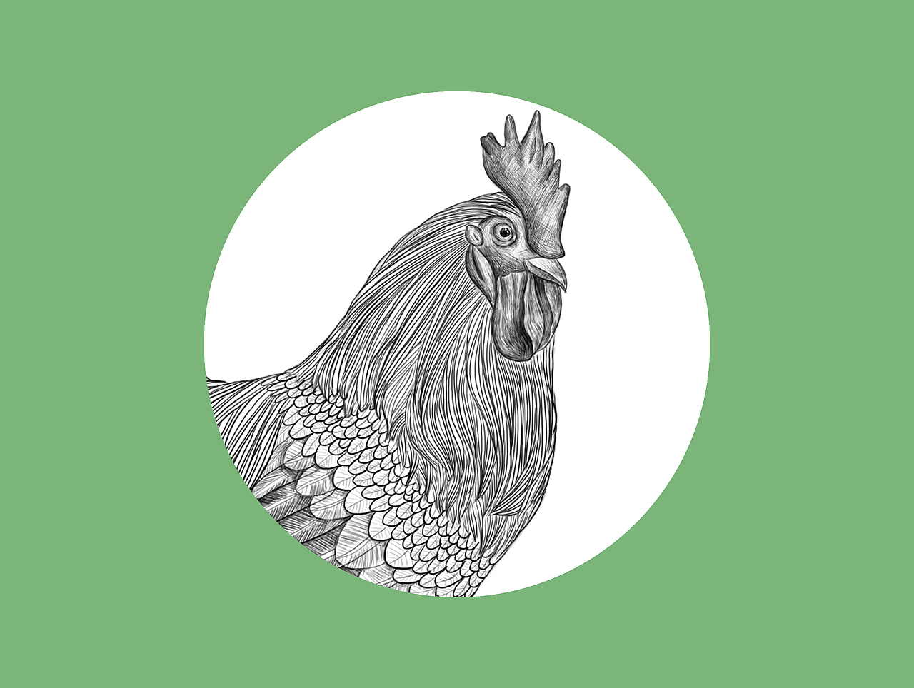 土鸡插画（图ZMjAzNjY2NjUy） - 商业插画 - 站酷设计师初七的画原创素材 - 站酷ZCOOL