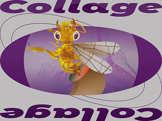 【拼贴作品】003:微观怪物/潮T