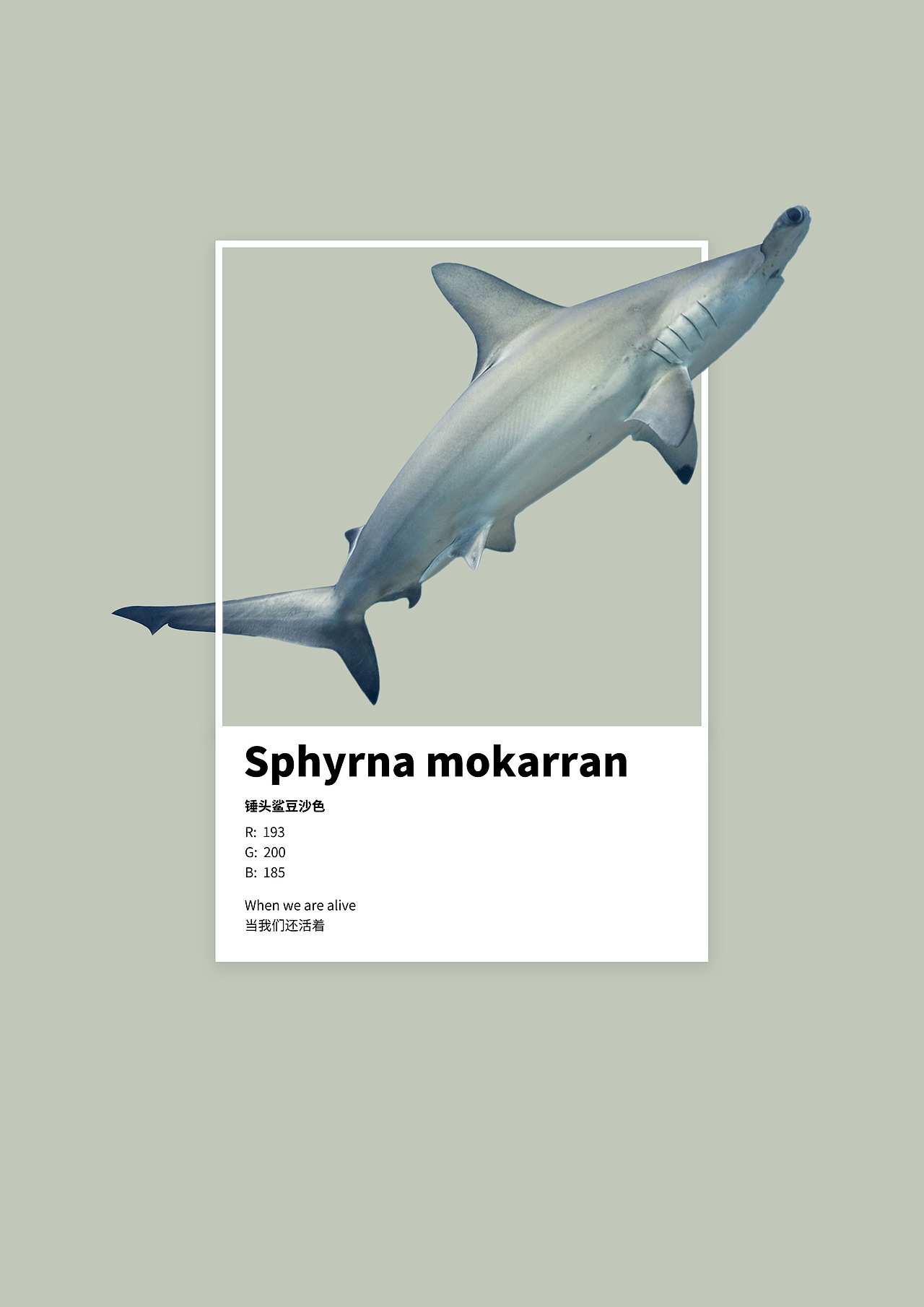 #地球守卫者#海洋色卡 x 环保海报（图ZMjc4Mzk3MTU2） - 海报 - 站酷设计师东风不识相原创素材 - 站酷ZCOOL