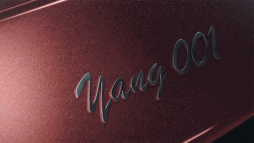 九阳JED2020年度总结