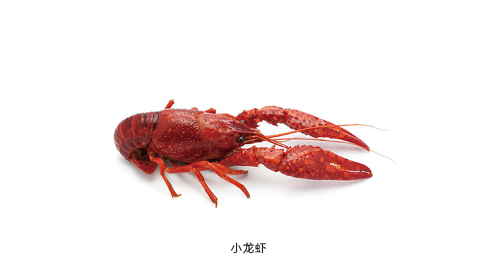 虾嘎品牌标志设计(小龙虾品牌)