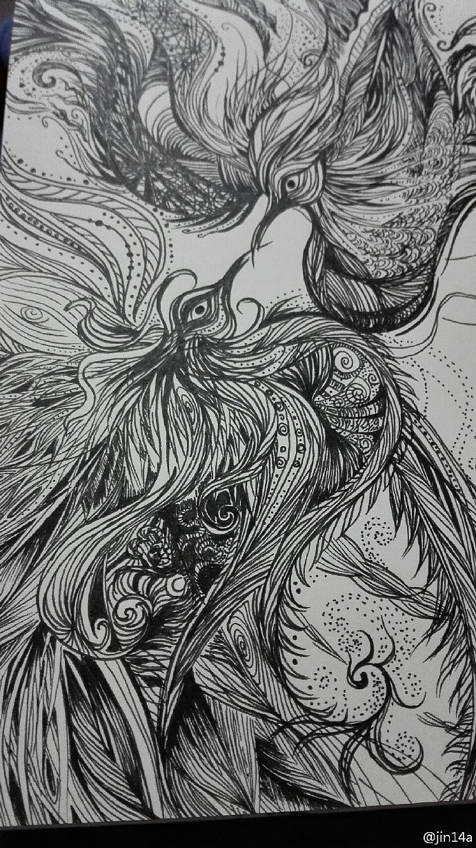 凤求凰的草图~以前上班开会时的涂鸦，重新画一下，等有时间转大图精细上稿（图ZNTY4NjM5NjQ=） - 创作习作 - 站酷设计师jin14a原创素材 - 站酷ZCOOL