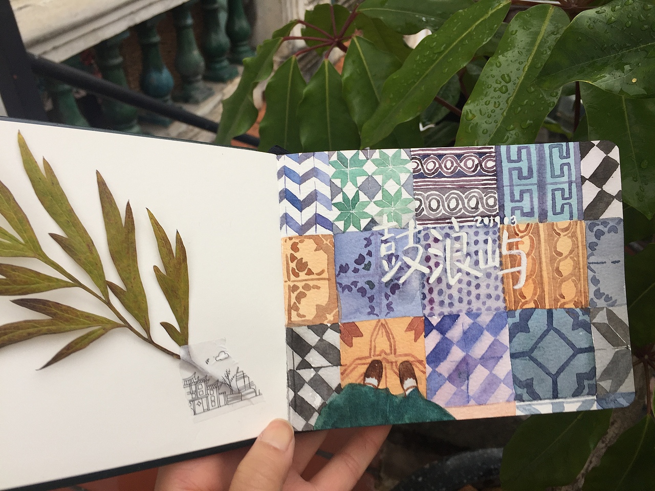 【鼓浪屿旅行插画+手绘记录】林田原创（图ZMTk2MTM0Nzky） - 创作习作 - 站酷设计师林田lisa原创素材 - 站酷ZCOOL