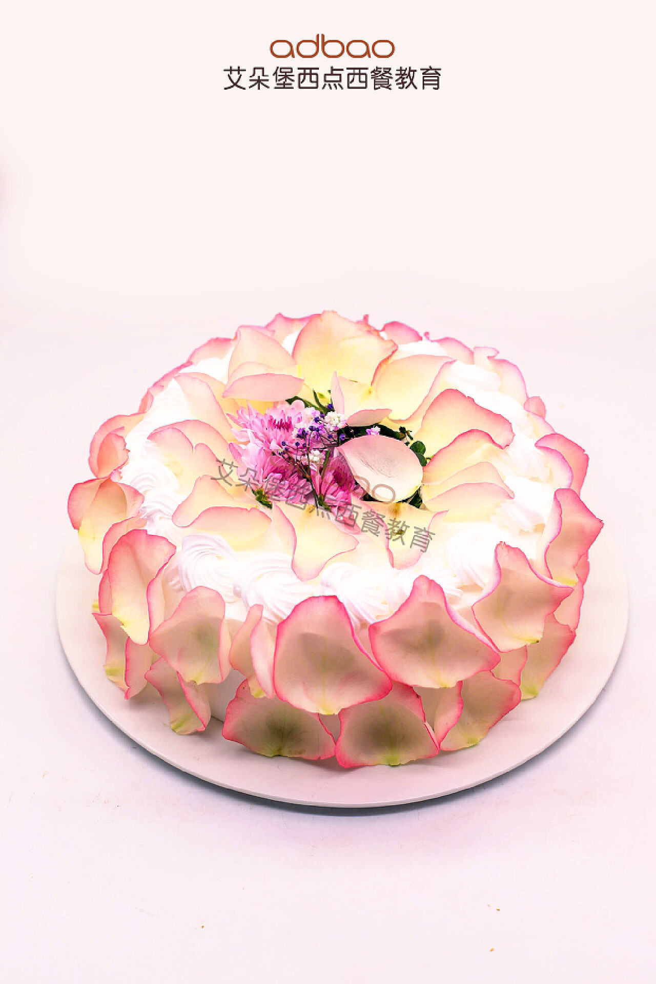 蛋糕大小实物参照图，6寸和8寸蛋糕的区别图-雅达蛋糕